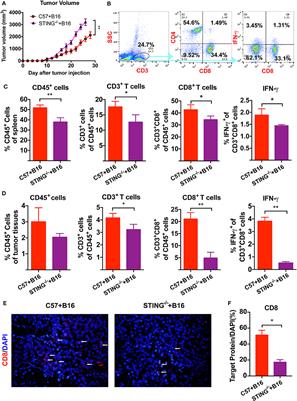 Activation of STING by cGAMP Regulates MDSCs to Suppress Tumor Metastasis via Reversing Epithelial-Mesenchymal Transition